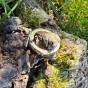9ct gold-ring-white gold-moissanite-twist-ring-stone-sandrakernsjewellery