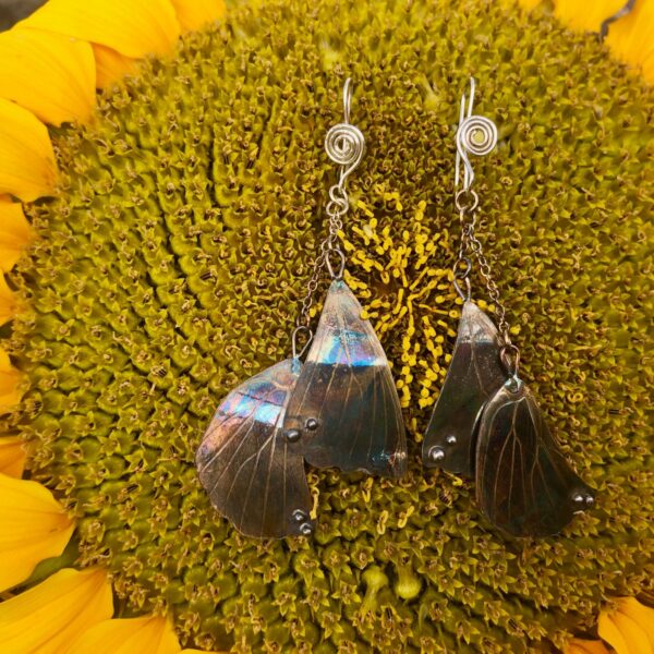 real-butterfly-wing-earrings-silver-patinated-front-sandrakernsjewellery real-butterfly-wing-earrings-silver-patinated-front-sandrakernsjewellery